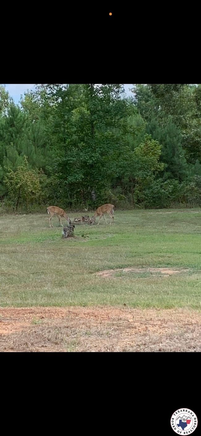 228 Pr 1070, House other with 3 bedrooms, 2 bathrooms and null parking in Doddridge AR | Image 19