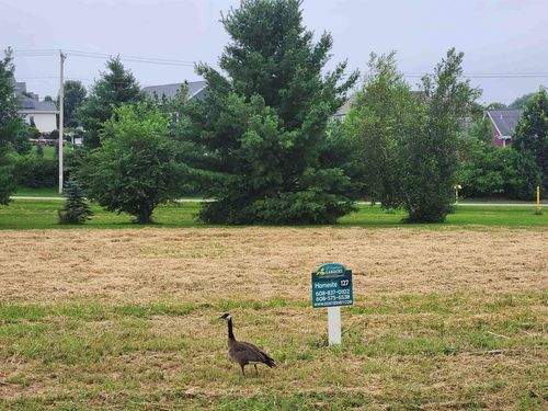 L128 Lucas Lane Lane, Windsor, WI, 53590 | Card Image