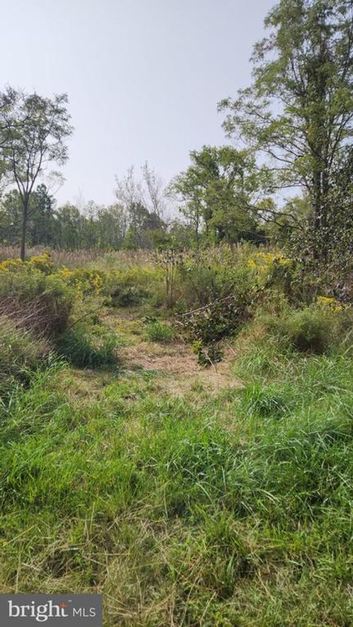 0 Riley Roberts Rd, DEAL ISLAND, MD, 21821 | Card Image