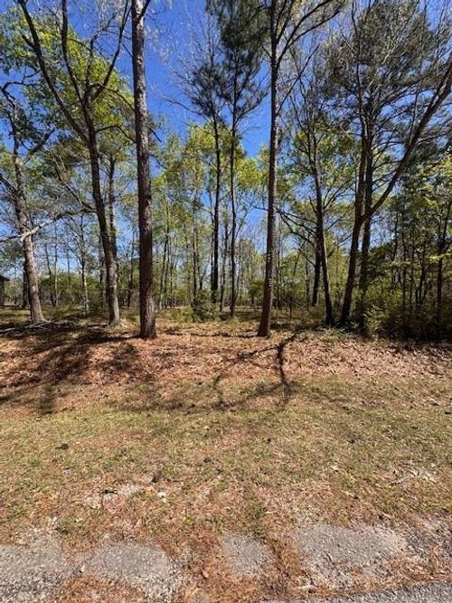 90 S Pine Harbour Dr, Coldspring, TX, 77331-3130 | Card Image