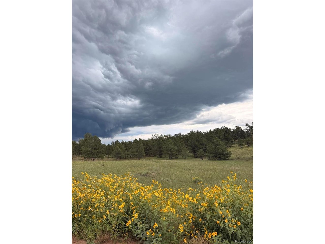 Land in Florissant 2