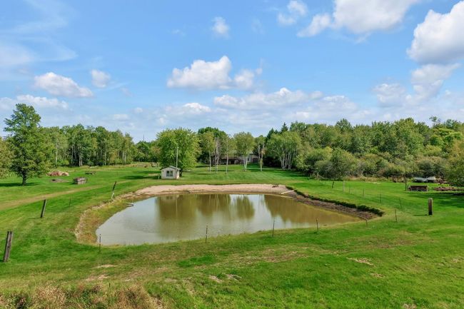 The manmade pond is a little dry with the warm summer, but really attracts the wild life. | Image 4