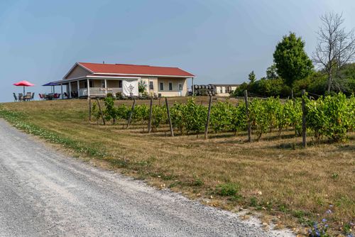 804 Closson Rd, Prince Edward, ON, K0K2J0 | Card Image