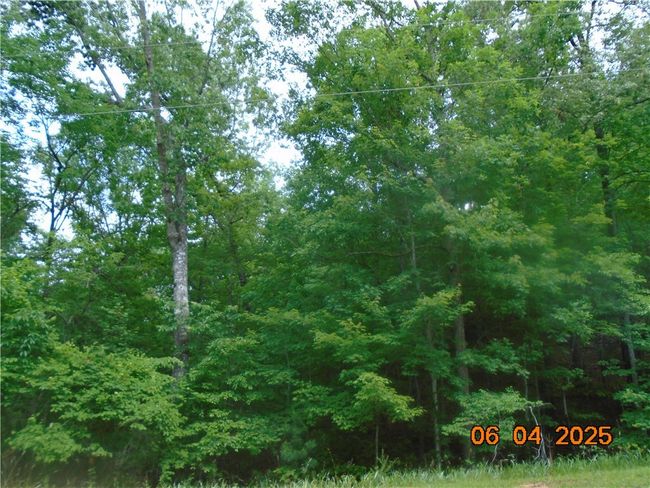 1000 E Cedar Creek Rd, Home with 0 bedrooms, 0 bathrooms and null parking in Sunset SC | Image 14