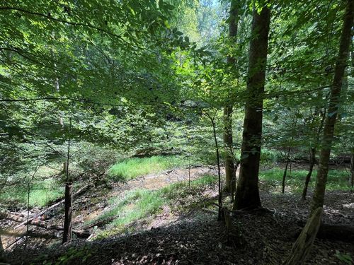 LOT 223 Bowline Dr, Ellijay, GA, 30540-8893 | Card Image