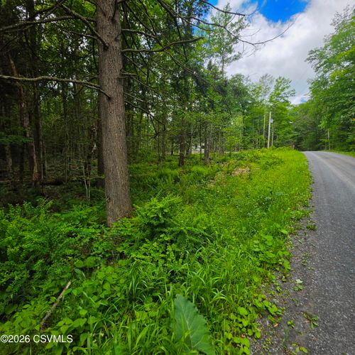 LOT 23 Wooded Ln, Muncy Valley, PA, 17758 | Card Image