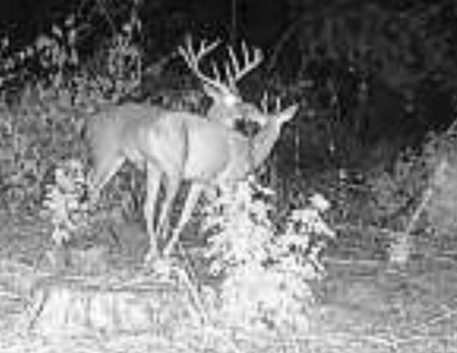 000 E 236 And 13 Highway, Lonoke, AR, 72086 | Card Image