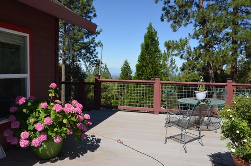31300 Miller Mountain Rd, Whitmore, CA, 96096-9573 | Card Image