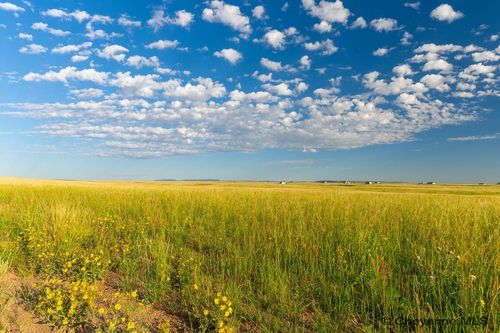 Tract 353 South Rd, Cheyenne, WY, 82009 | Card Image