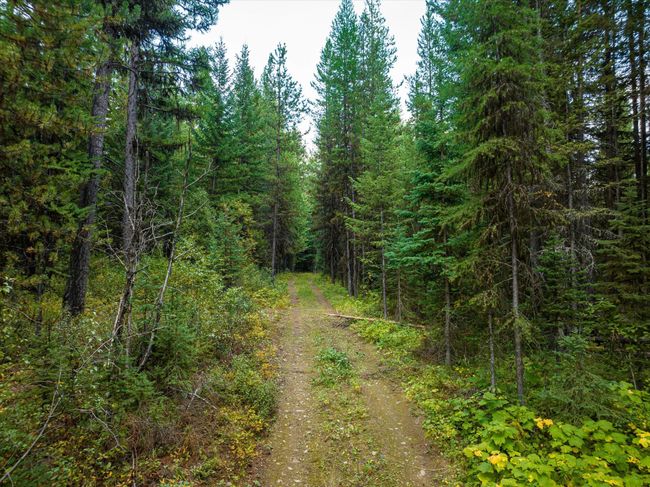 775 Trail Creek Rd, Home with 0 bedrooms, 0 bathrooms and null parking in Polebridge MT | Image 10