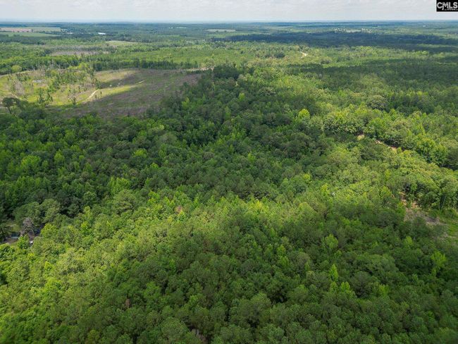 0 Mcdaniel Rd, Home with 0 bedrooms, 0 bathrooms and null parking in Rembert SC | Image 9