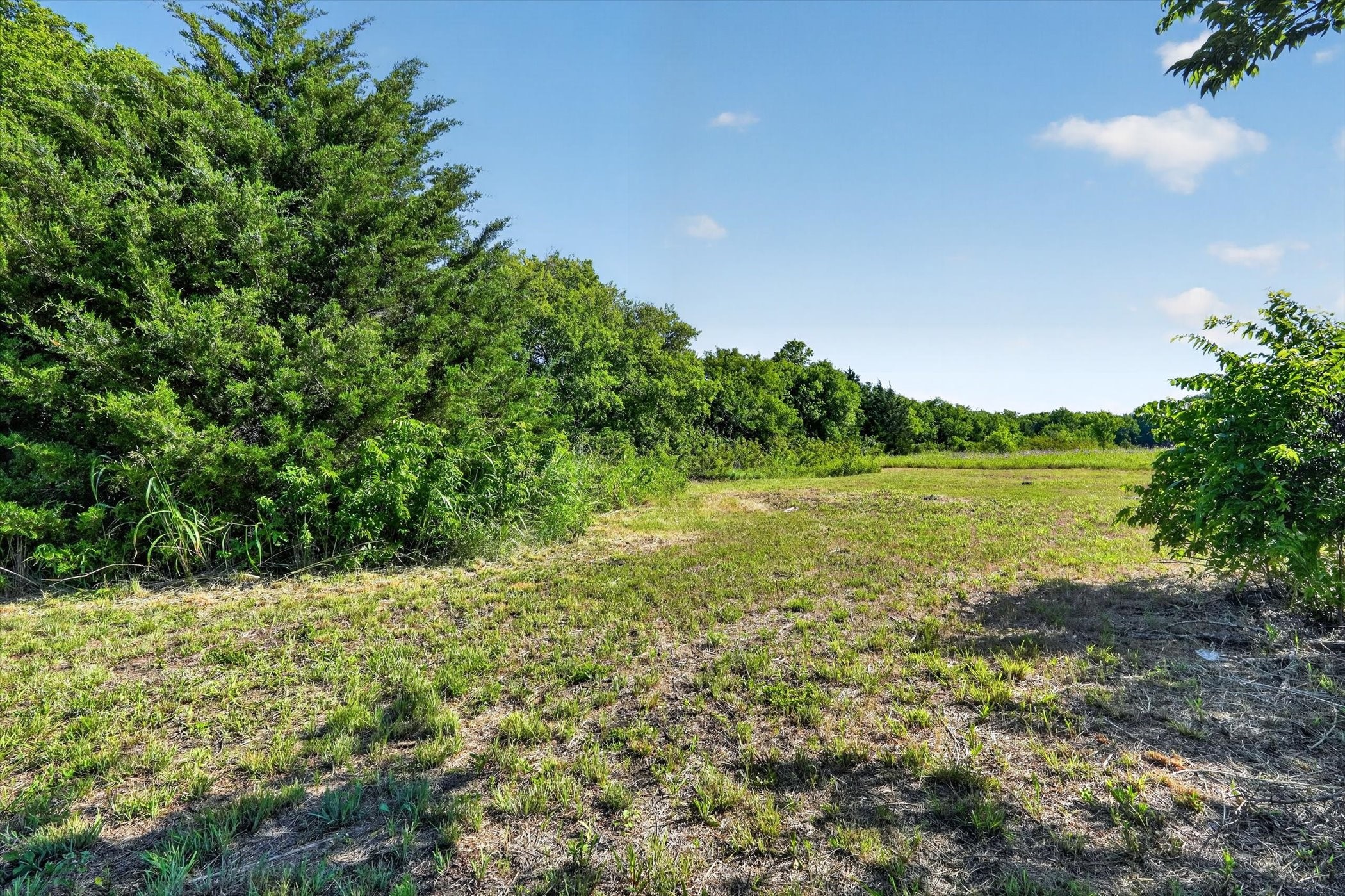 Land in Alvarado 3