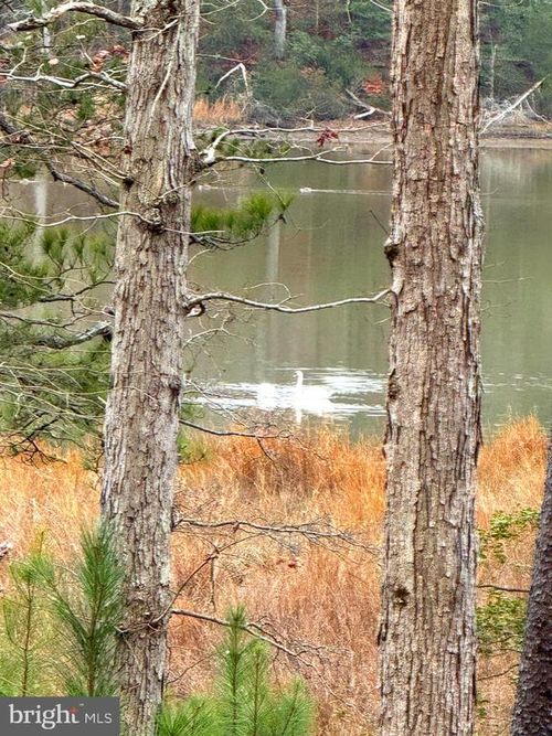 3 Sawgrass Est, King George, VA, 22485 | Card Image