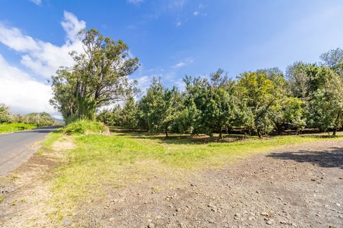 96-2865 Wood Valley Rd, Pahala, HI, 96777 | Card Image
