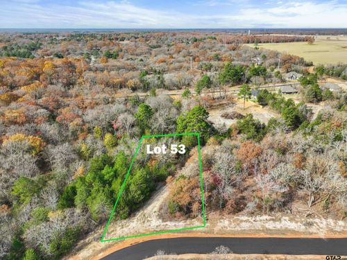 TBD Pr 6305 Lot 53, Mineola, TX, 75773 | Card Image
