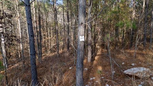 317 Marked Pine Ln, Broken Bow, OK, 74728 | Card Image