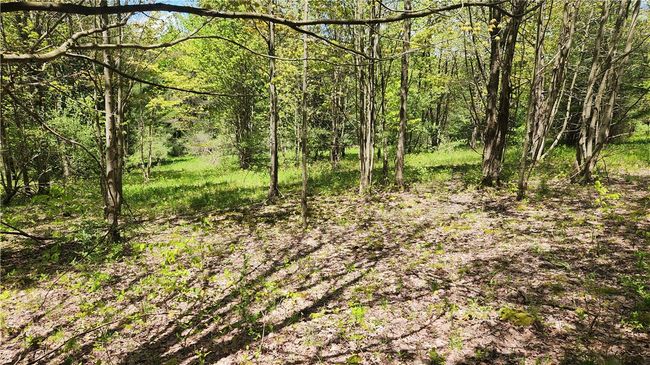 6291 Burke Rd, Home with 0 bedrooms, 0 bathrooms and null parking in Prattsburgh NY | Image 31