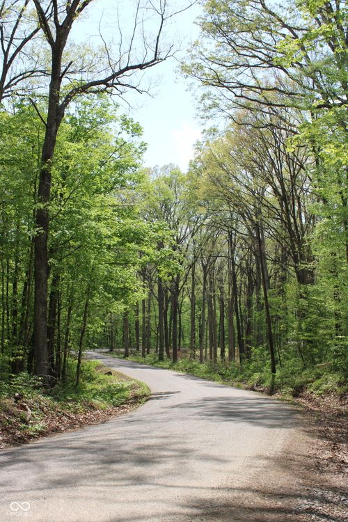 Tract 4: 0 N County Road 555 E, Butlerville, IN, 47265 | Card Image