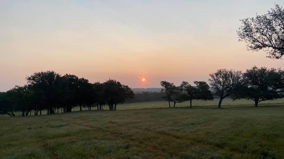Land in Evant 2
