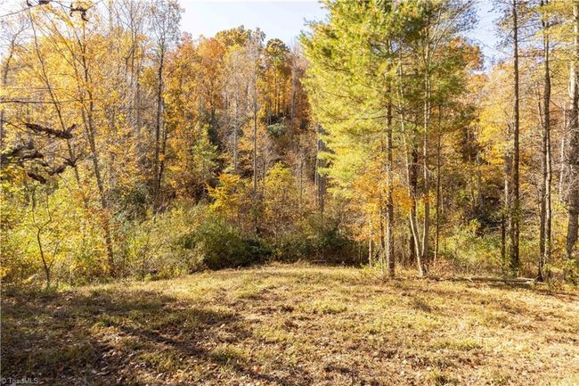 0 Laurel Creek Rd Ne, Home with 0 bedrooms, 0 bathrooms and null parking in Pilot VA | Image 24