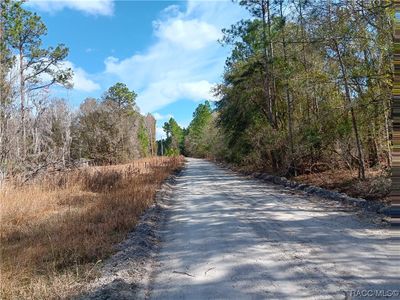 0 Sw 137 Th Street, Home with 0 bedrooms, 0 bathrooms and null parking in Waldo FL | Image 3