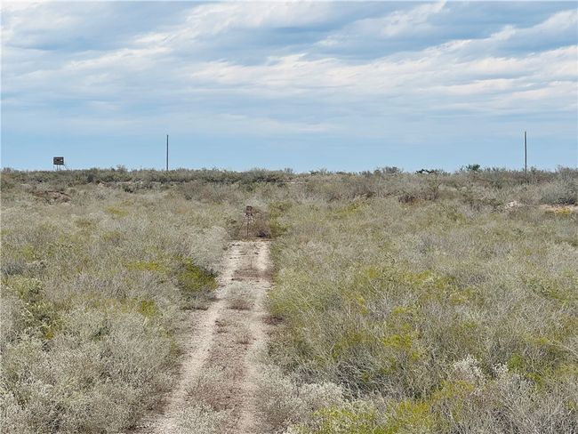 9156 Tx 339, Home with 0 bedrooms, 0 bathrooms and null parking in Freer TX | Image 23