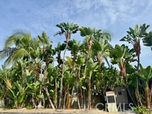 b-343 Myrtle St, Laguna Beach, CA, 92651-1532 | Card Image