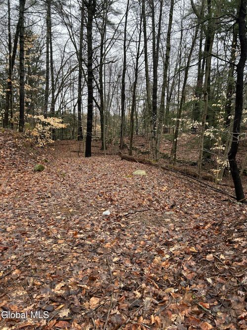 27 S Copeland Pond Way, Fort Ann, NY, 12827-2317 | Card Image