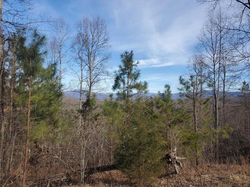 lot 25 Meadow Brooke Ln, Young Harris, GA, 30582-2297 | Card Image