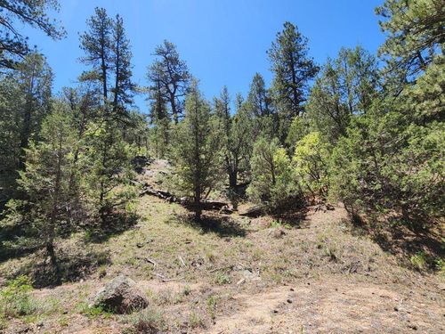 102 Kevin Dr, Cotopaxi, CO, 81223 | Card Image