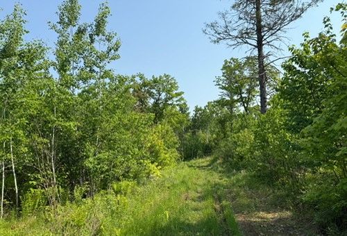 TBD E County Road T, Danbury, WI, 54830 | Card Image