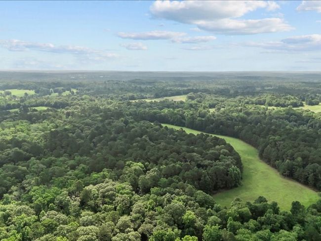 000 An County Road 100, Home with 0 bedrooms, 0 bathrooms and null parking in Elkhart TX | Image 12