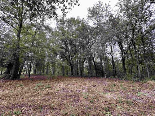 0 Kelly Day Rd, Pelion, SC, 29123 | Card Image