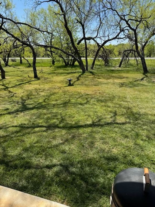 View of yard | Image 18