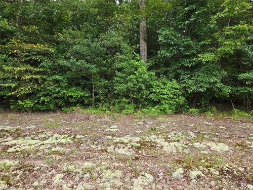 25.5AC Woodland Drive, Windsor, VA, 23487 | Card Image