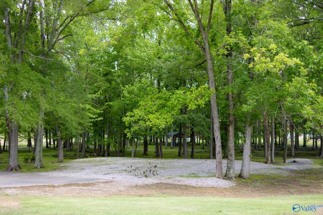 1508 Berrivine Dr, House other with 4 bedrooms, 3 bathrooms and null parking in Hartselle AL | Image 43