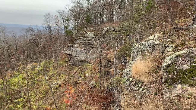 0 Myers Point Rd, Home with 0 bedrooms, 0 bathrooms and null parking in Sewanee TN | Image 4