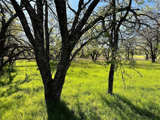 Lot 13 Cr 127, Home with 0 bedrooms, 0 bathrooms and null parking in Carlton TX | Image 22