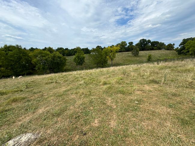 2076 Bald Hill Rd, Home with 5 bedrooms, 1 bathrooms and null parking in Hillsboro KY | Image 33