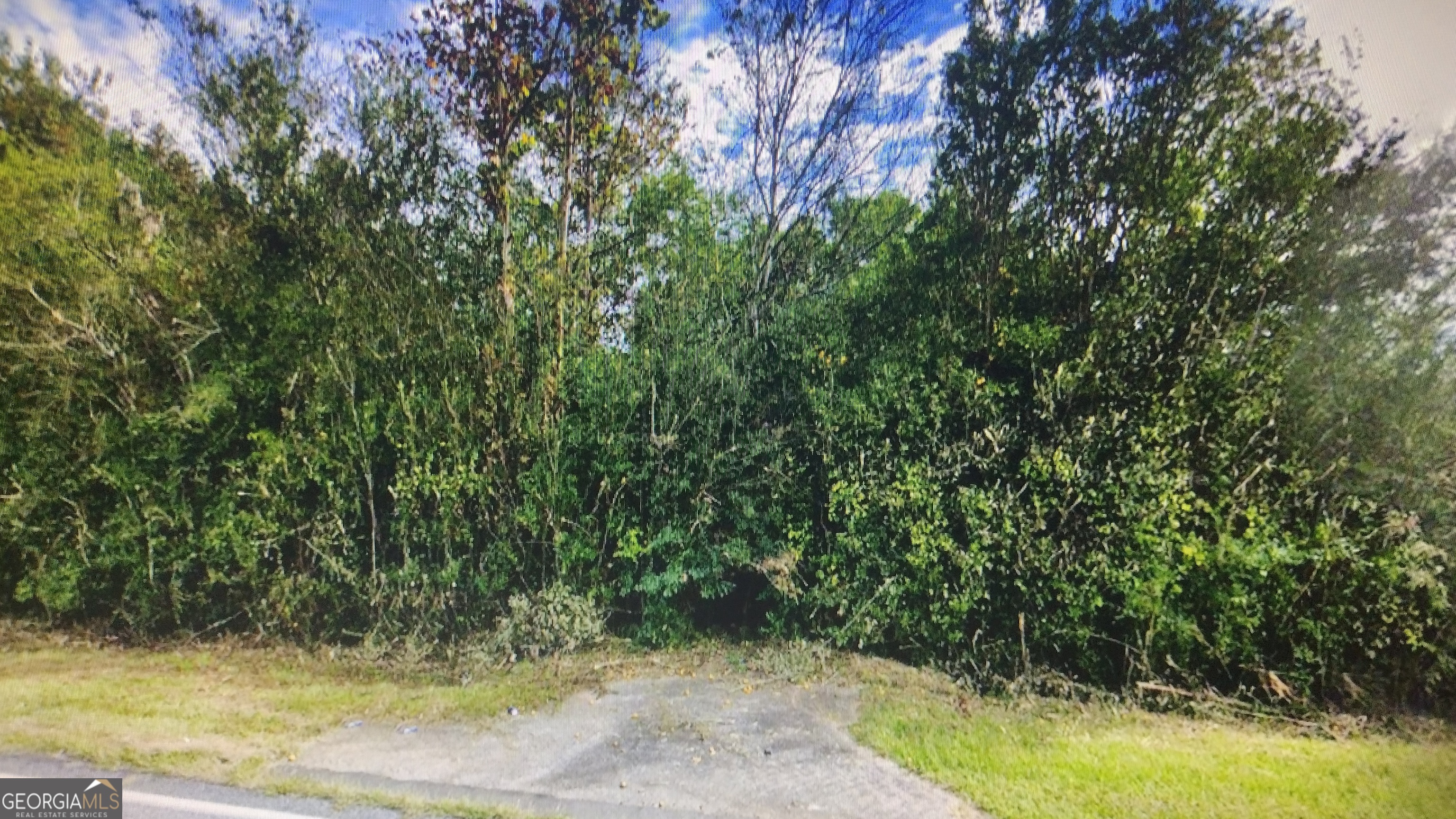 Lothridge Rd, Cleveland, GA 30528