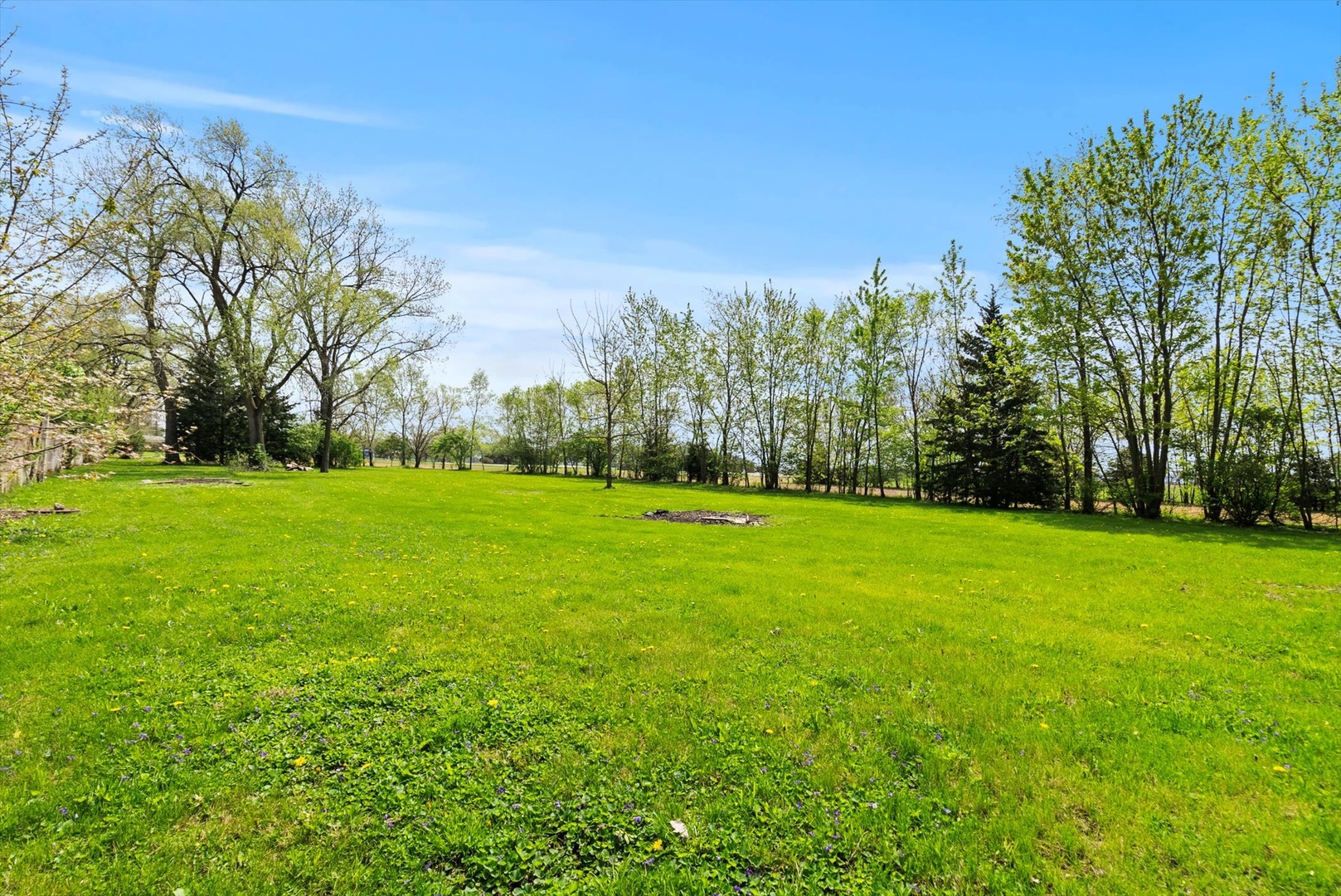 Farm in Manhattan 3