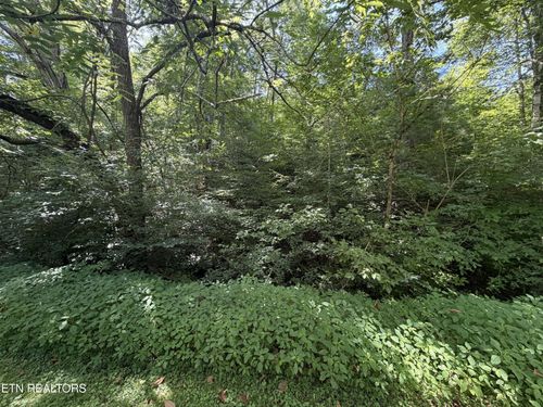 13 Smoky Mountain Way, Sevierville, TN, 37876 | Card Image