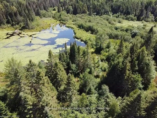 6845 Highway 63, Home with 0 bedrooms, 0 bathrooms and null parking in North Bay ON | Image 8