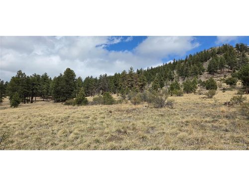 62430 Us Highway 285, Bailey, CO, 80421 | Card Image