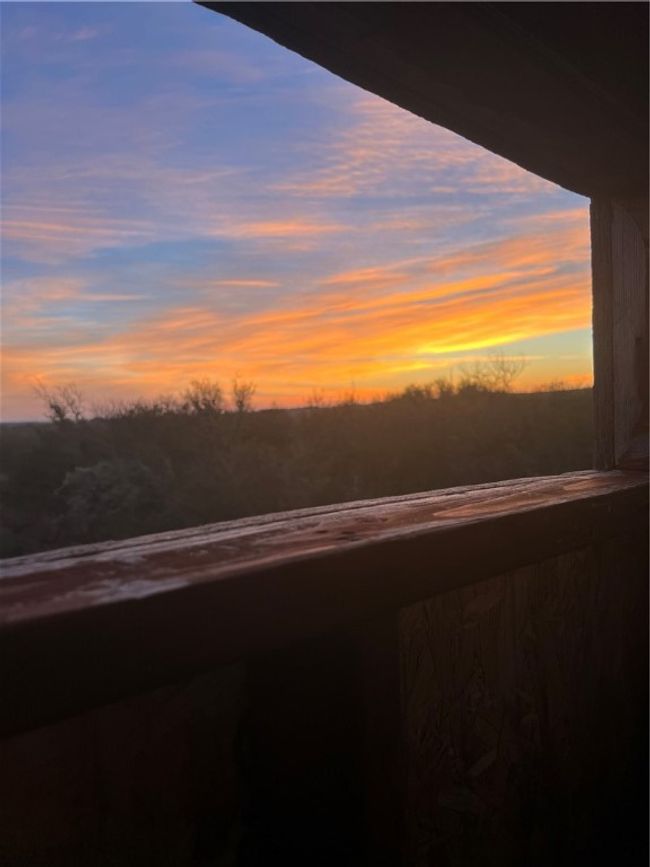 0 Blackbrush Spur, Home with 0 bedrooms, 0 bathrooms and null parking in George West TX | Image 11