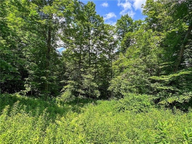 22+ Acres | Image 29