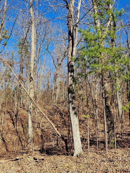 0 N Woods Ln, Trenton, GA, 30752 | Card Image