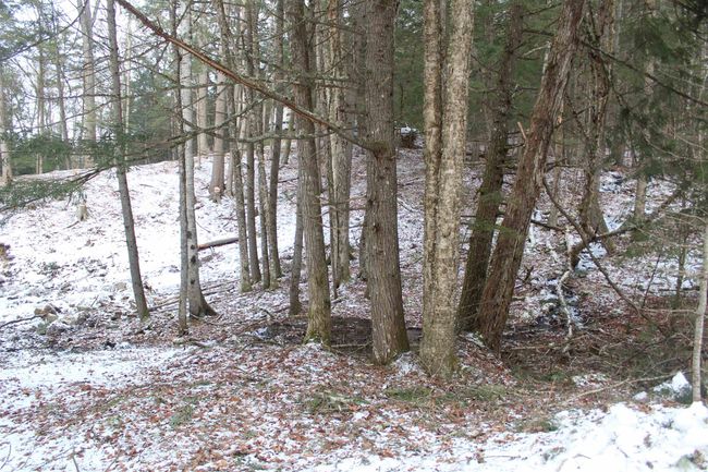 LOT-17 - 000 Wetherbee Farm Rd, Home with 0 bedrooms, 0 bathrooms and null parking in Lisbon NH | Image 31