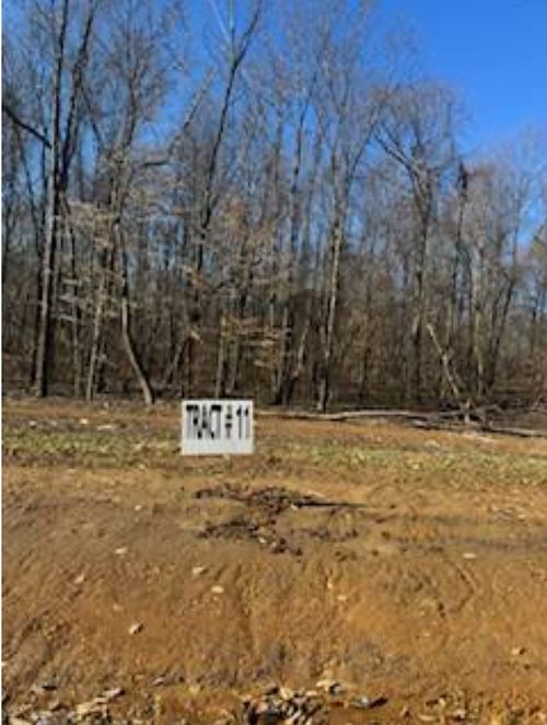 0 White Springs Ln, Lafayette, TN, 37083 | Card Image