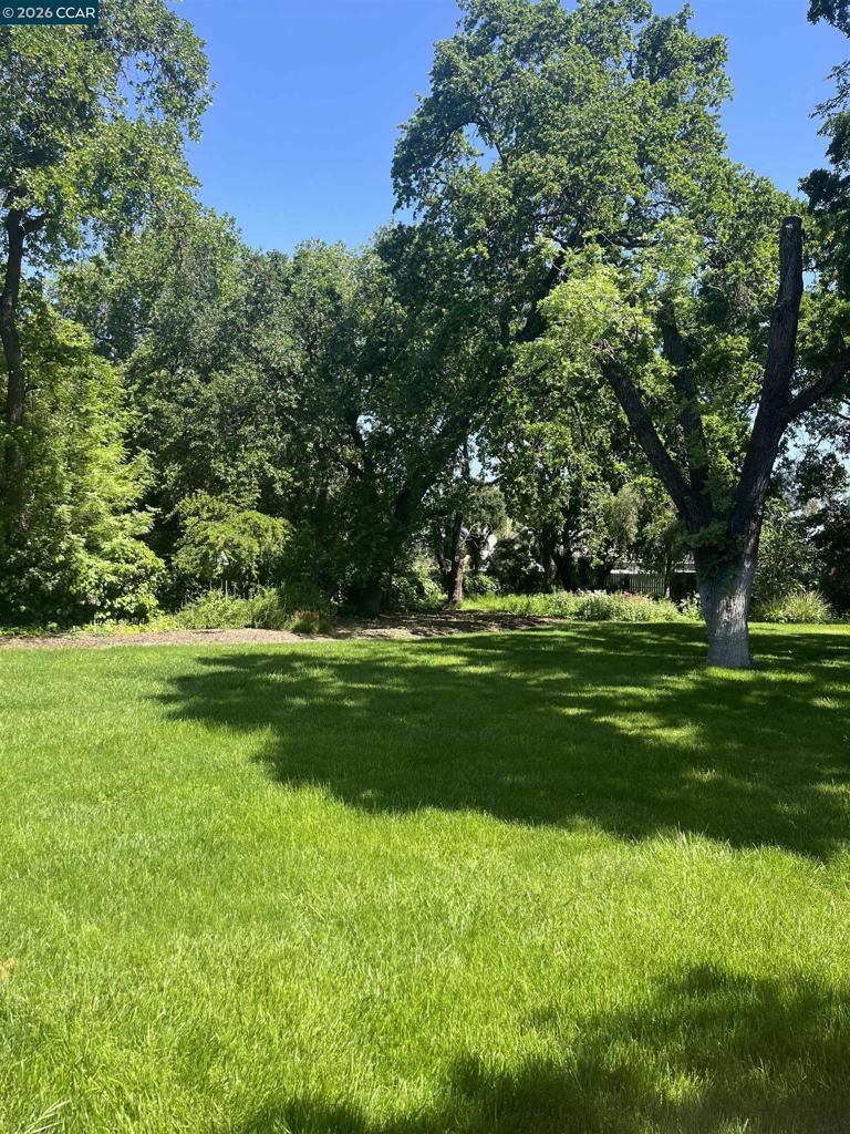 Residential Lease in Concord 3